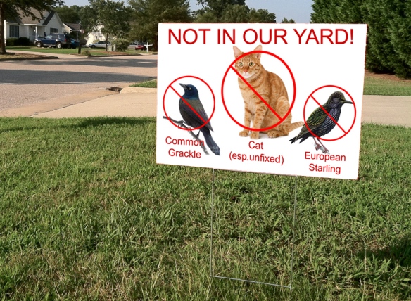 yard-sign